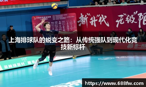 上海排球队的蜕变之路：从传统强队到现代化竞技新标杆