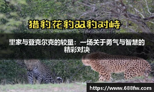 芒果体育直播官网
