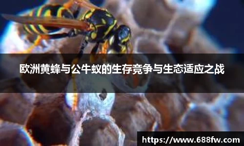 芒果体育直播官网